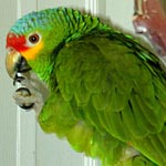 Another happy animal at Sara's Sanctuary